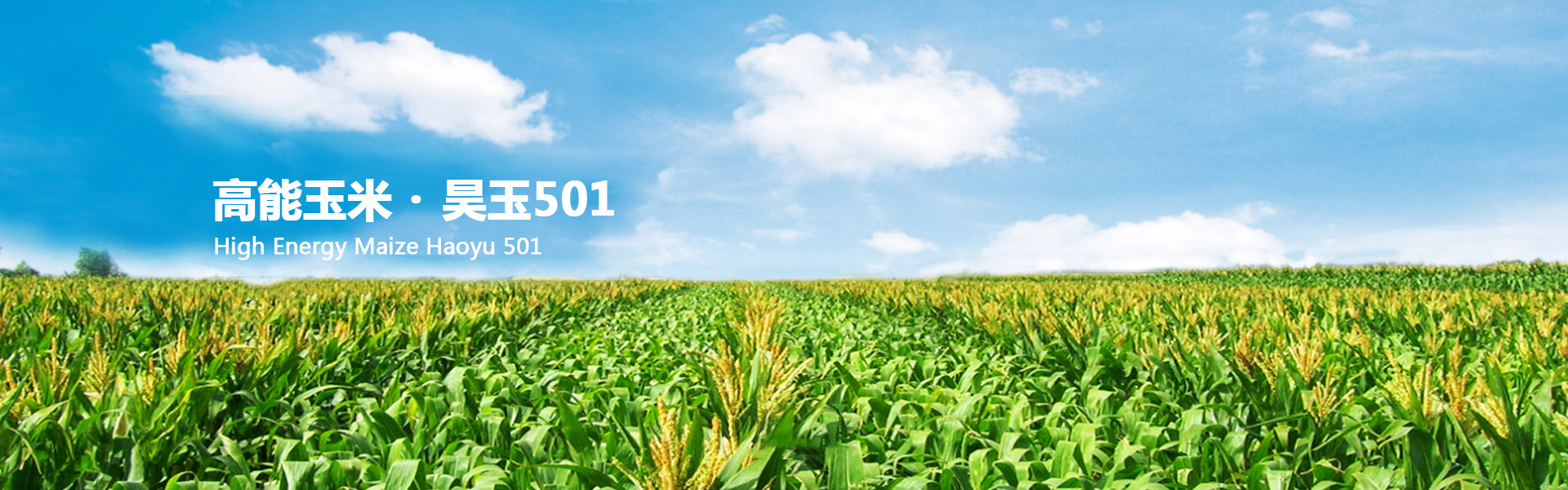 “育繁推一體化”管理系統