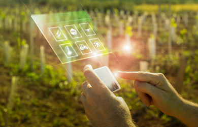 種子產業鏈管理軟件