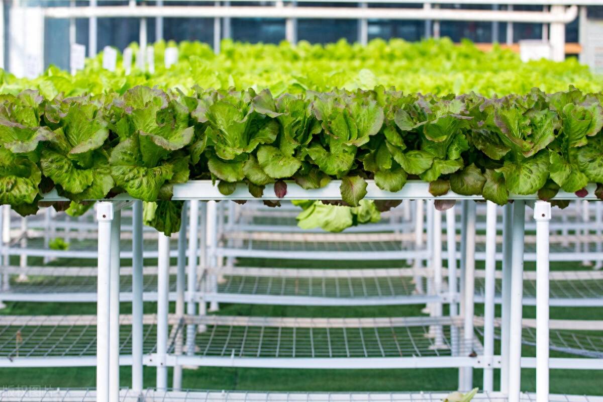 農業傳感器設備