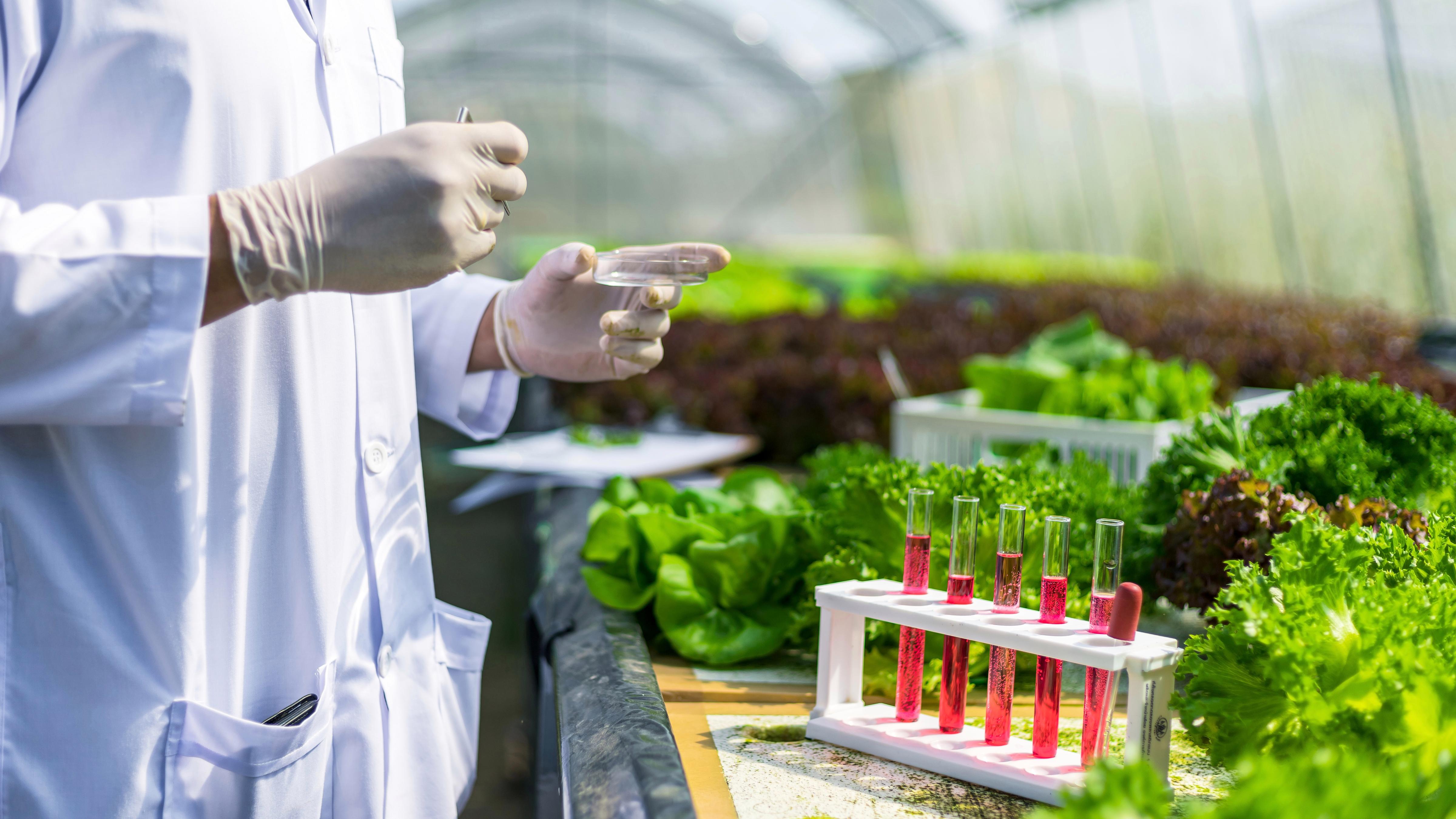 智慧育種小程序