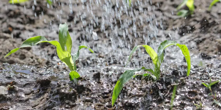 智能農業傳感器